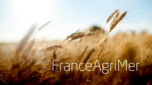 /documents/d/sully/actualites-realisations-franceagrimer-website-616x347